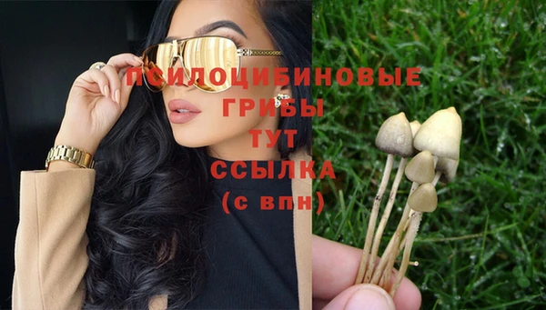 дживик Приозерск